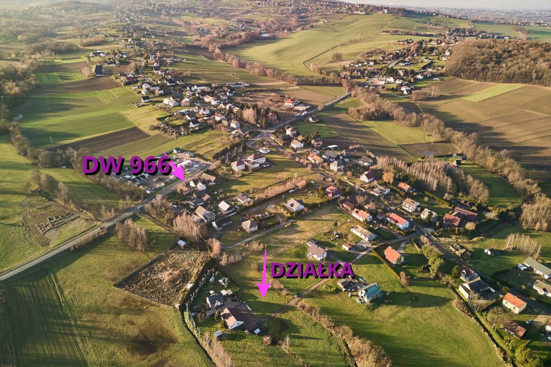 101587571_max.jpg