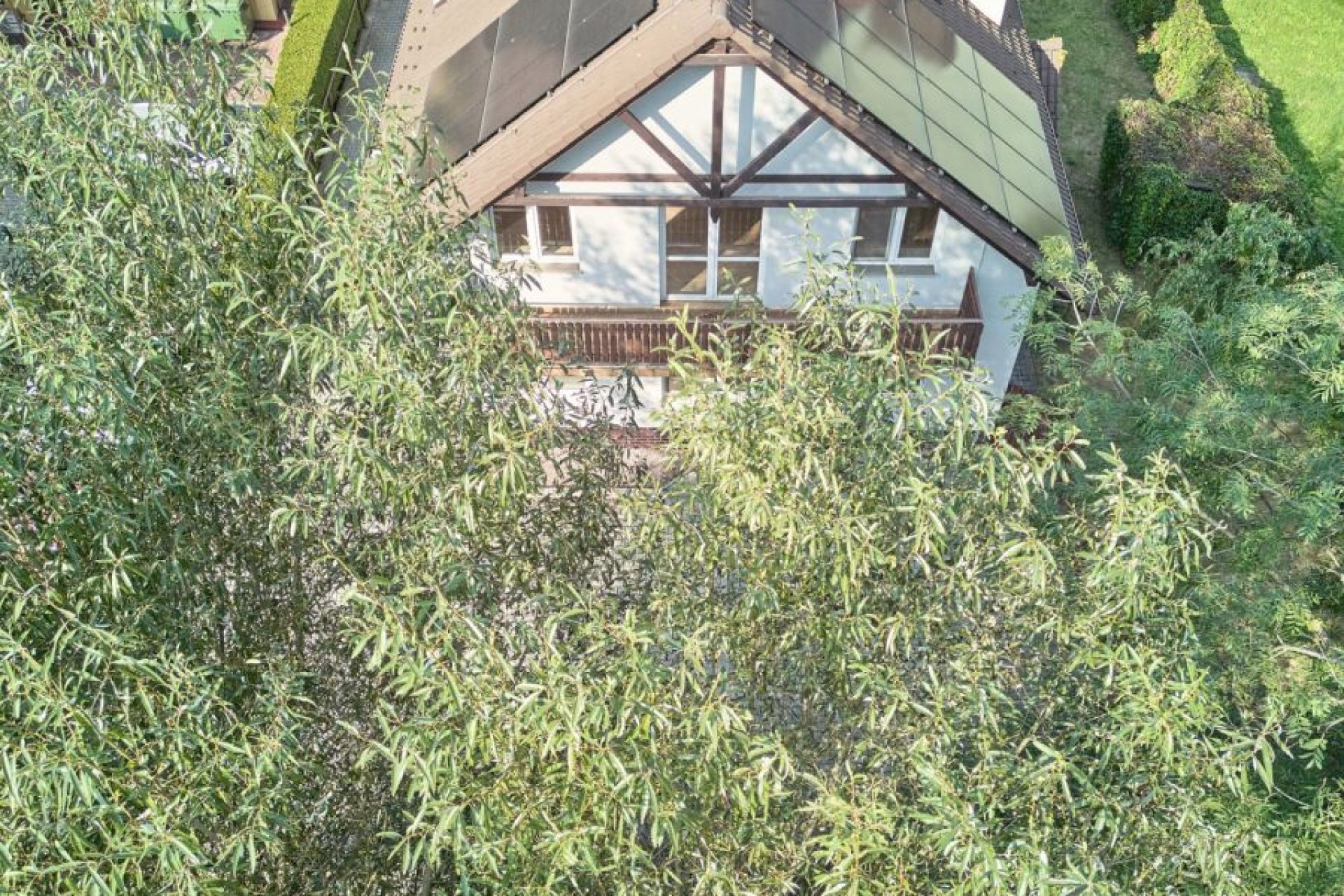 107191313_max.jpg